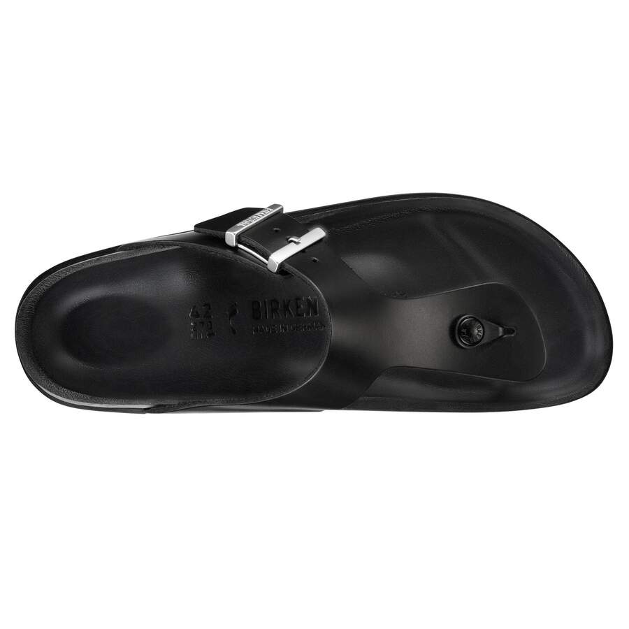 Ramses Edition - Premium Black